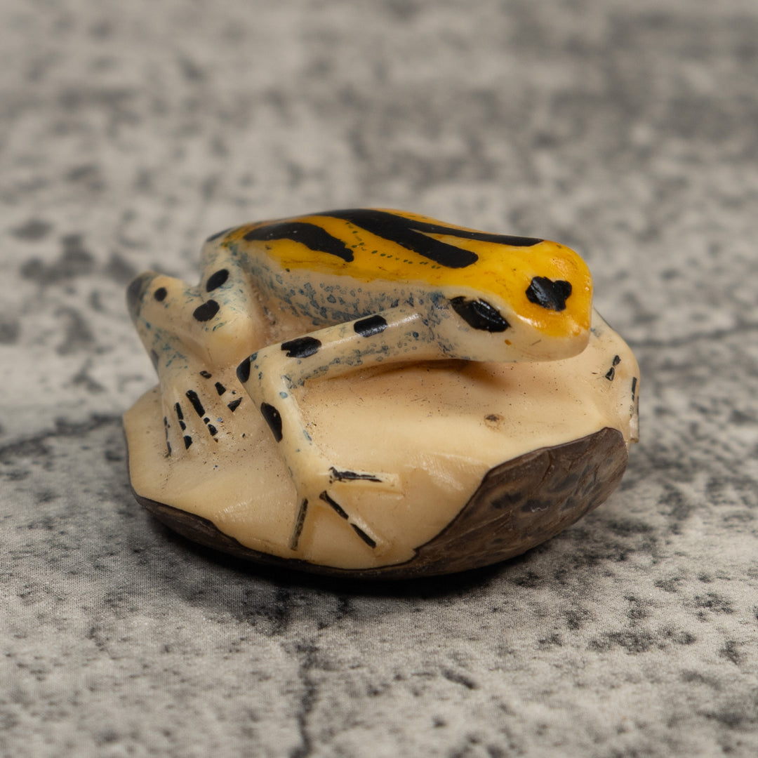 Gold Black And Blue Poison Dart Frog Tagua Carving