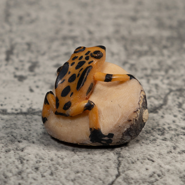 Vintage Gold And Black Poison Dart Frog Tagua Carving