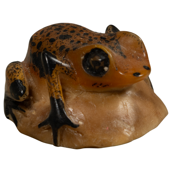 Vintage Poison Dart Frog Tagua Carving