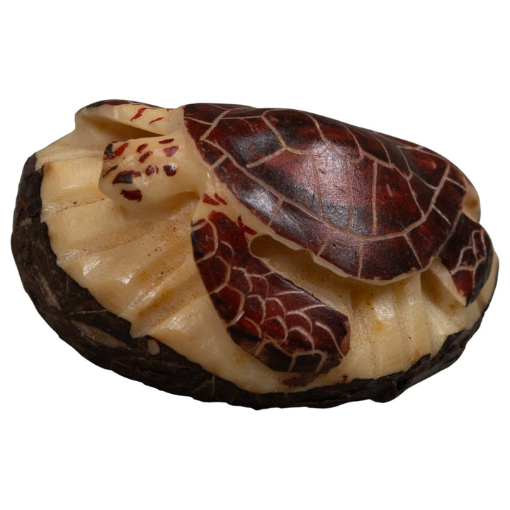 Sea Turtle Tagua Carving