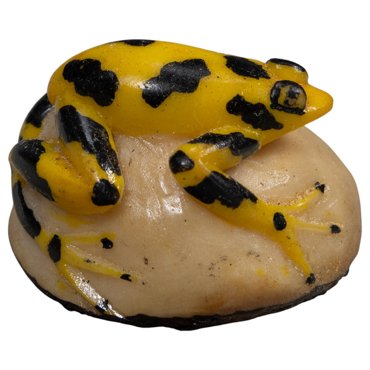 Vintage Poison Dart Frog Tagua Carving
