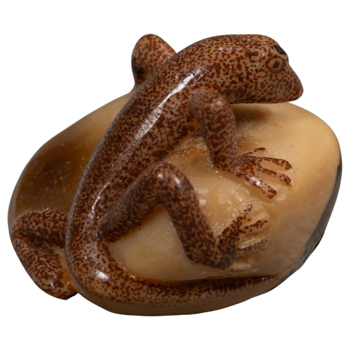 Brown Gecko Lizard Tagua Carving