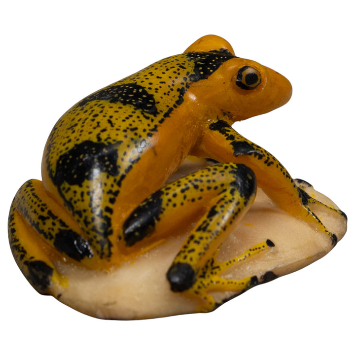 Vintage Poison Dart Frog Tagua Carving