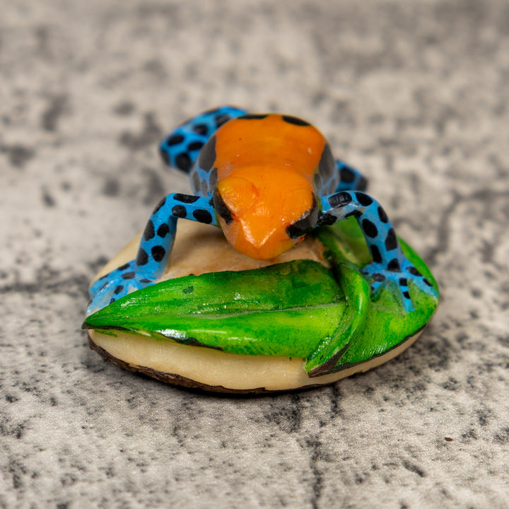 Orange Black And Blue Poison Dart Frog Tagua Carving