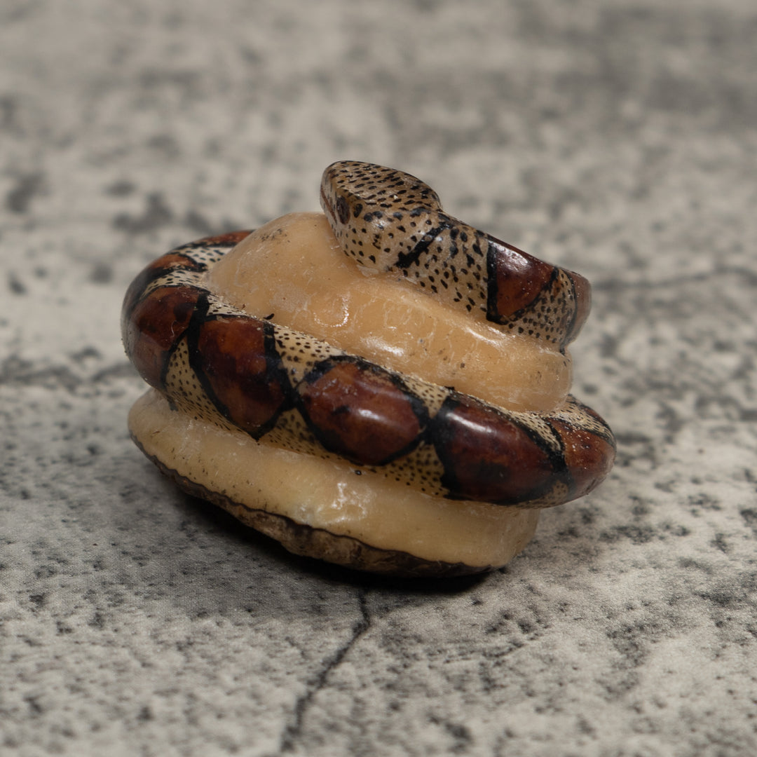 Brown And Black Snake Reptile Tagua Carving