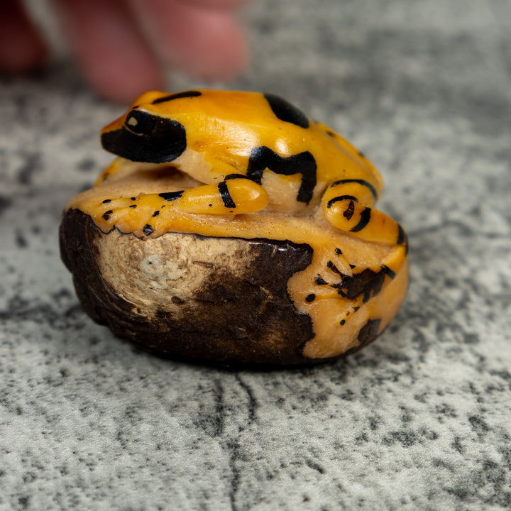 Vintage Black And Gold Poison Dart Frog Tagua Carving