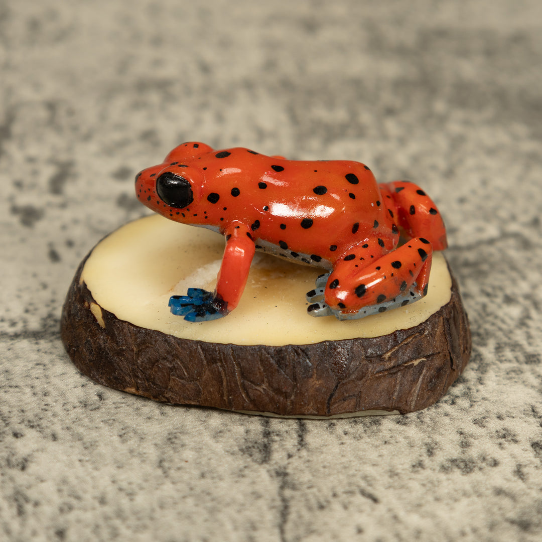Red And Blue Poison Dart Frog Tagua Carving