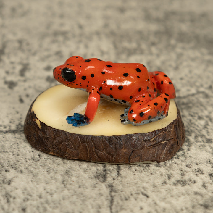 Red And Blue Poison Dart Frog Tagua Carving