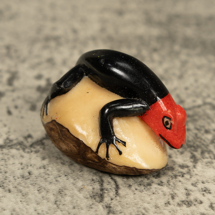Redhead And Black Gecko Lizard Tagua Carving