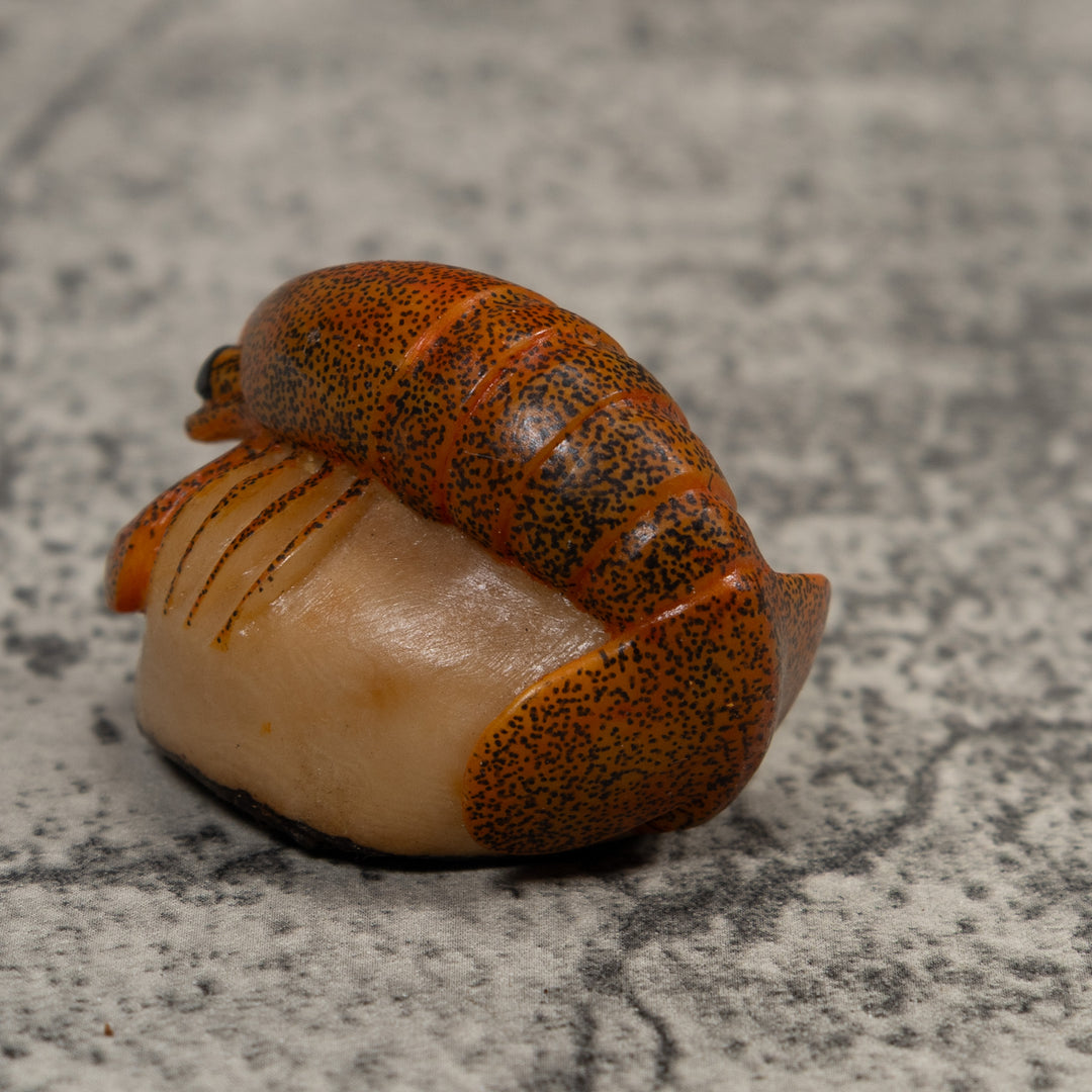 Vintage Shrimp Tagua Carving