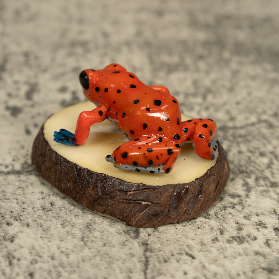 Red And Blue Poison Dart Frog Tagua Carving
