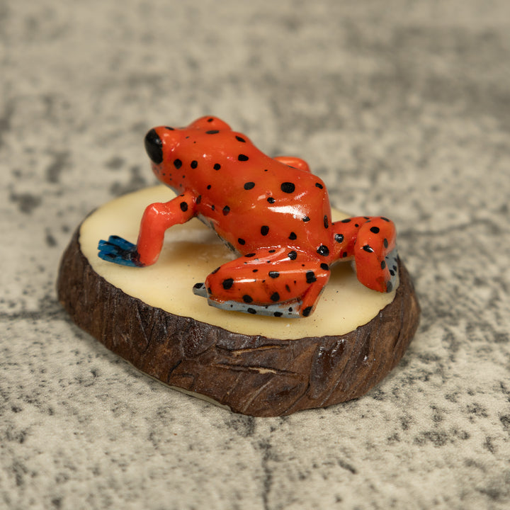 Red And Blue Poison Dart Frog Tagua Carving