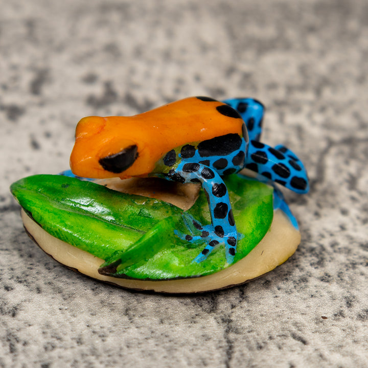 Orange Black And Blue Poison Dart Frog Tagua Carving