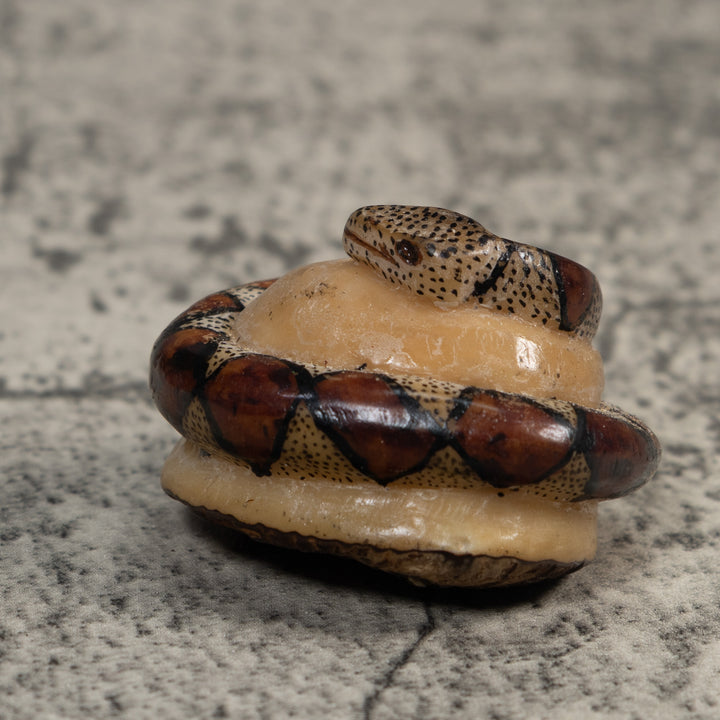 Brown And Black Snake Reptile Tagua Carving