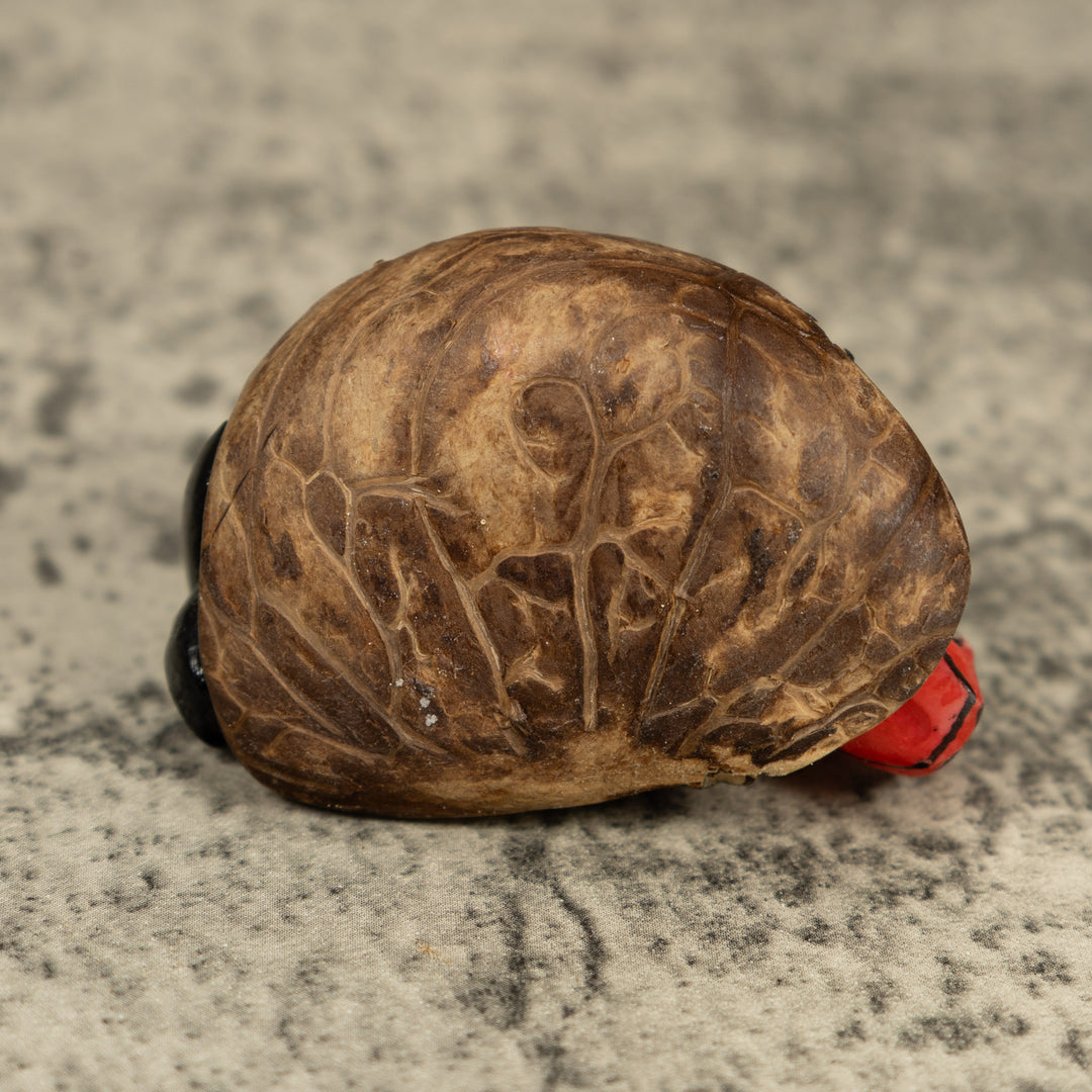 Redhead And Black Gecko Lizard Tagua Carving