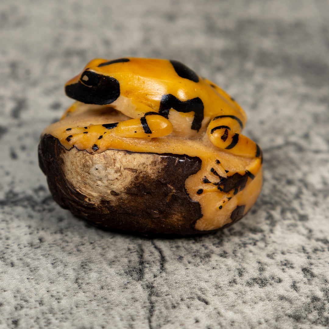 Vintage Black And Gold Poison Dart Frog Tagua Carving