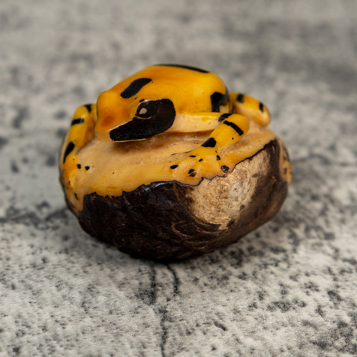 Vintage Black And Gold Poison Dart Frog Tagua Carving