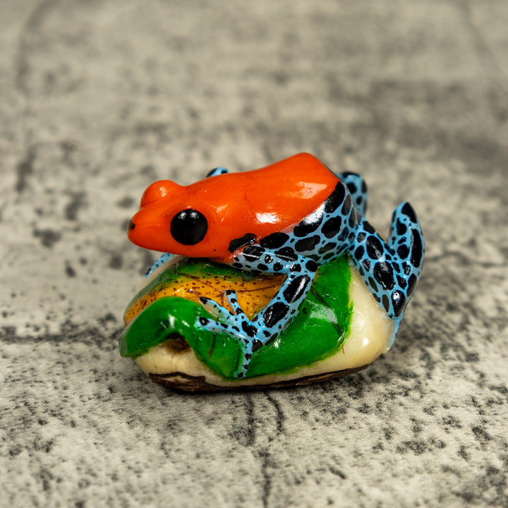 Blue Orange And Black Poison Dart Frog On Leaf Tagua Carving