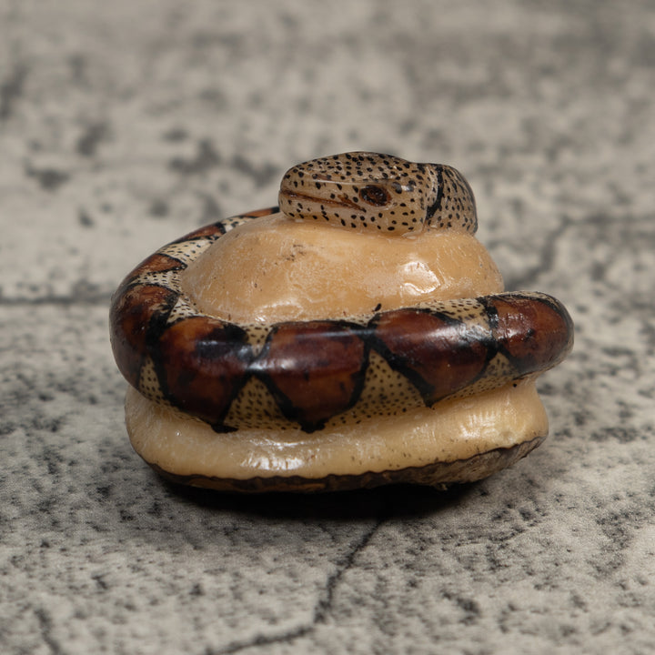Brown And Black Snake Reptile Tagua Carving