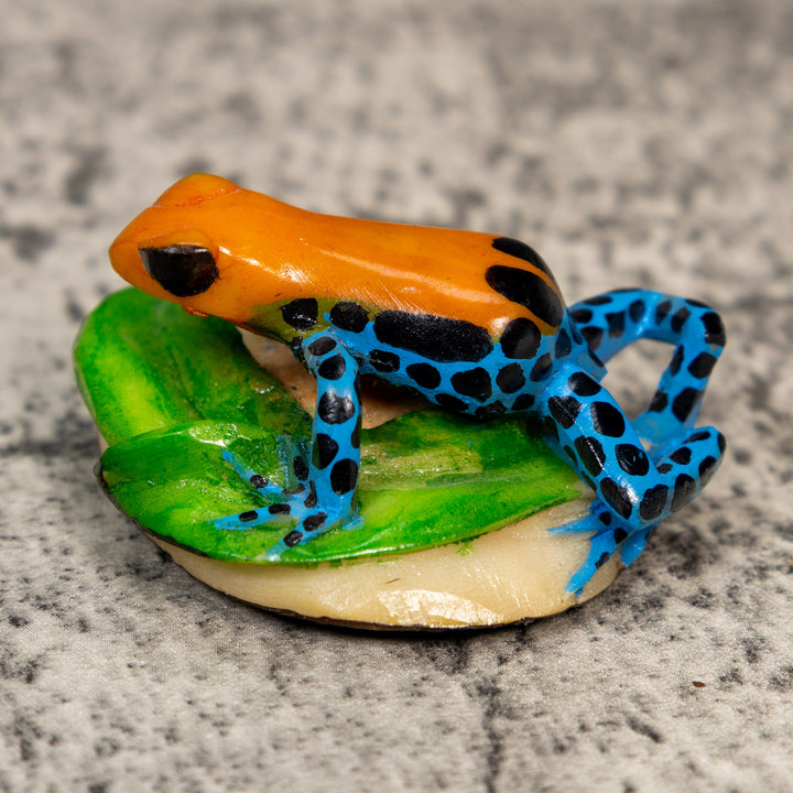 Orange Black And Blue Poison Dart Frog Tagua Carving