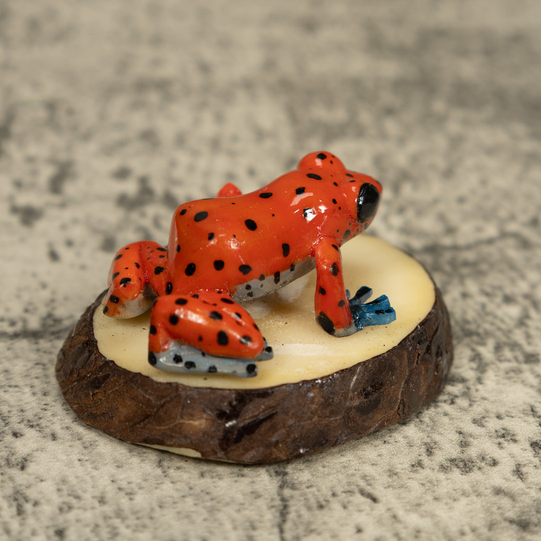 Red And Blue Poison Dart Frog Tagua Carving