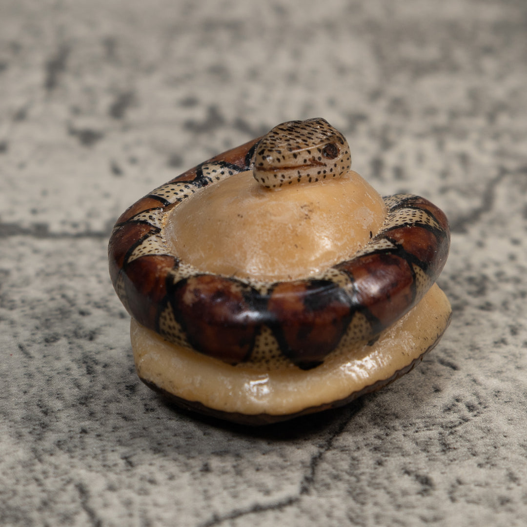 Brown And Black Snake Reptile Tagua Carving