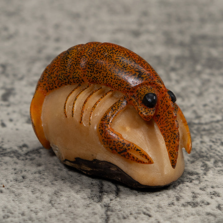 Vintage Shrimp Tagua Carving