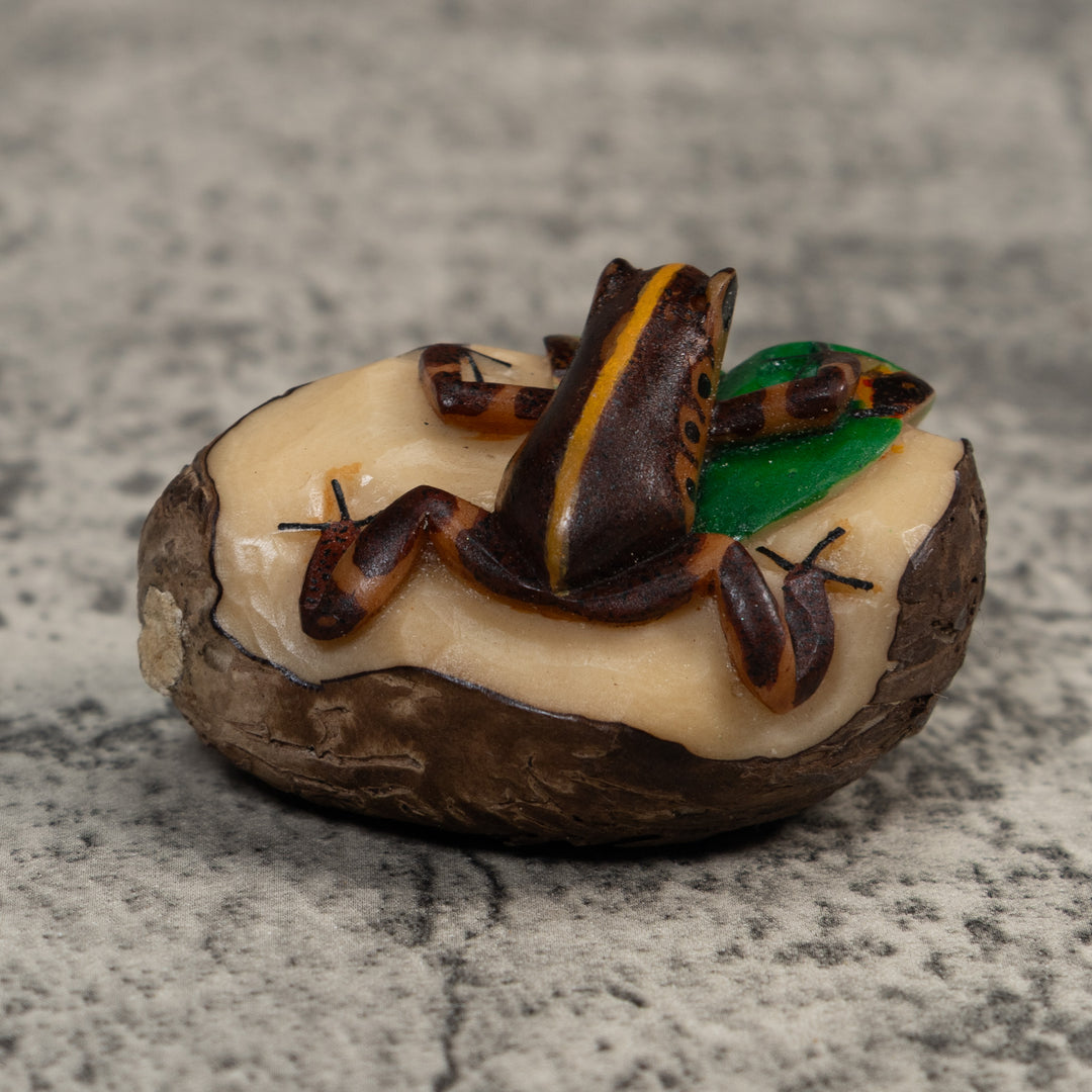Black And Gold Poison Dart Frog Tagua Carving