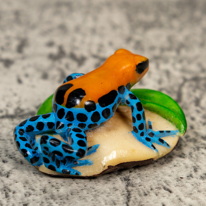 Orange Black And Blue Poison Dart Frog Tagua Carving
