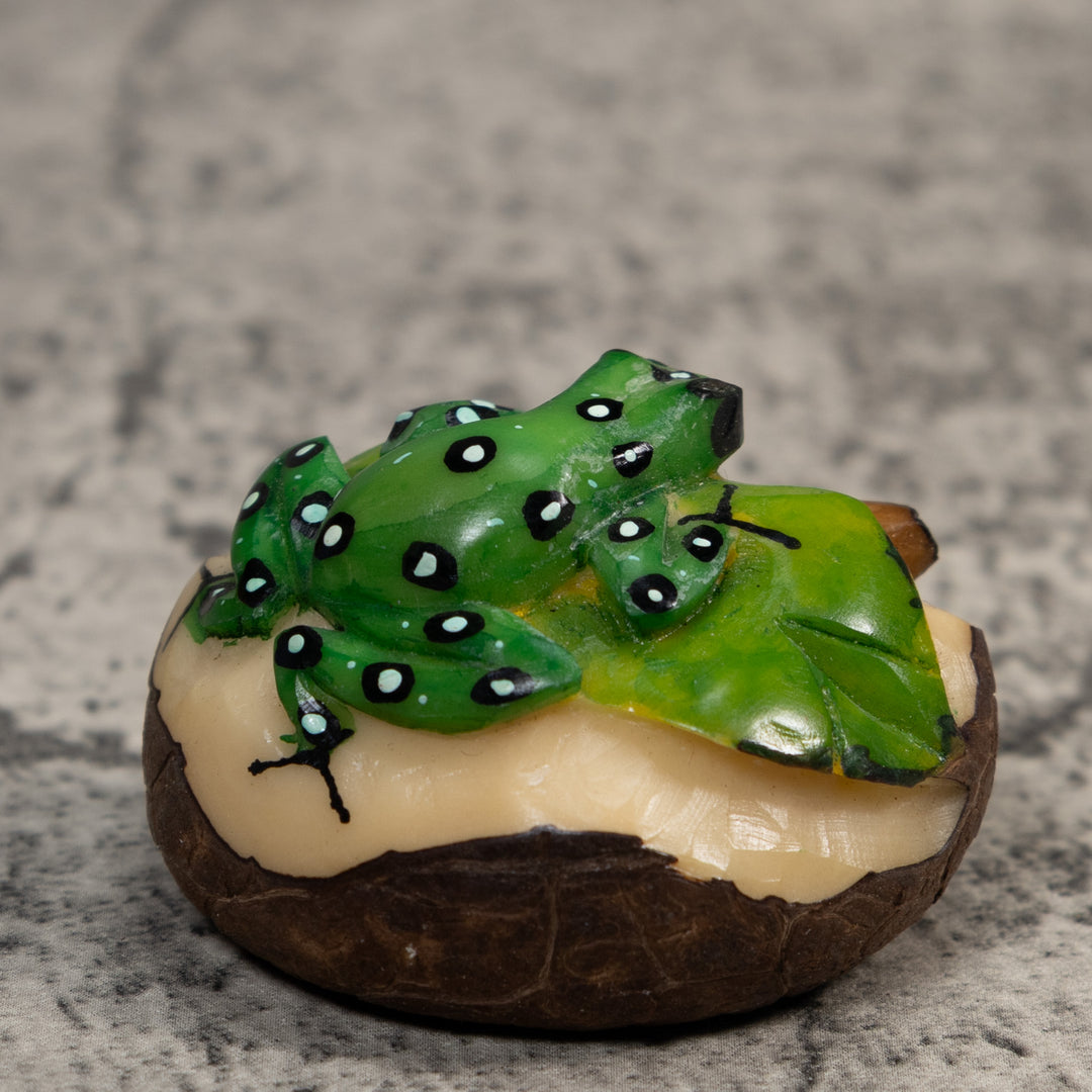 Green White And Black Poison Dart Frog Tagua Carving