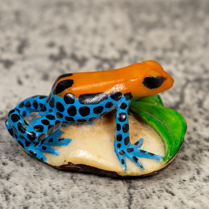 Orange Black And Blue Poison Dart Frog Tagua Carving