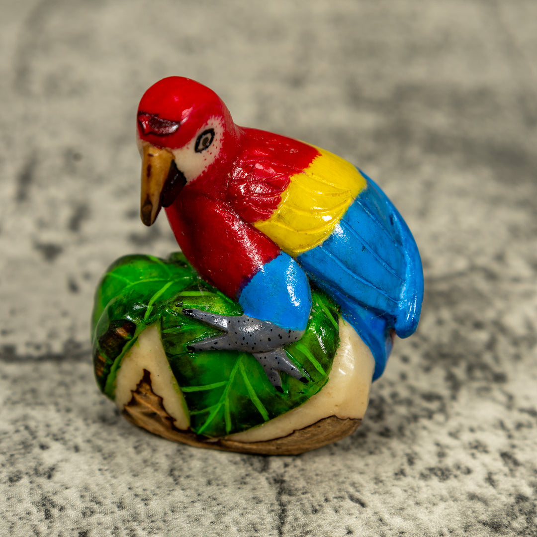 Red Yellow And Blue Macaw Parrot Tagua Carving