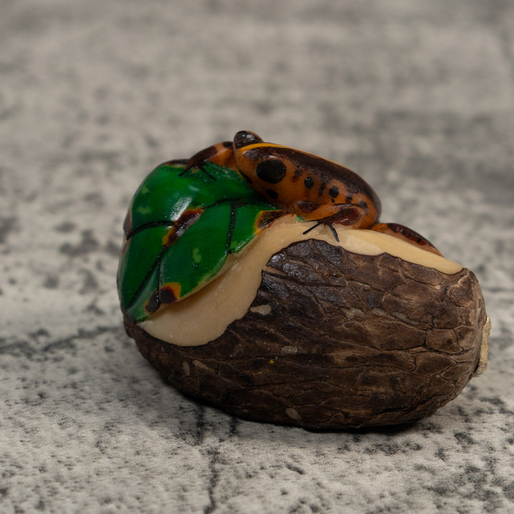 Black And Gold Poison Dart Frog Tagua Carving