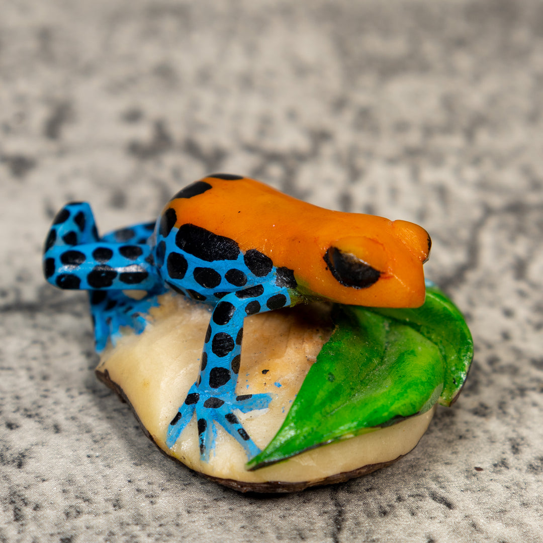Orange Black And Blue Poison Dart Frog Tagua Carving
