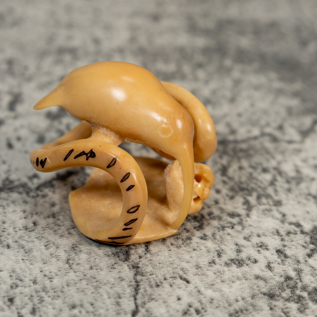 Vintage Natural White Hummingbird Tagua Carving