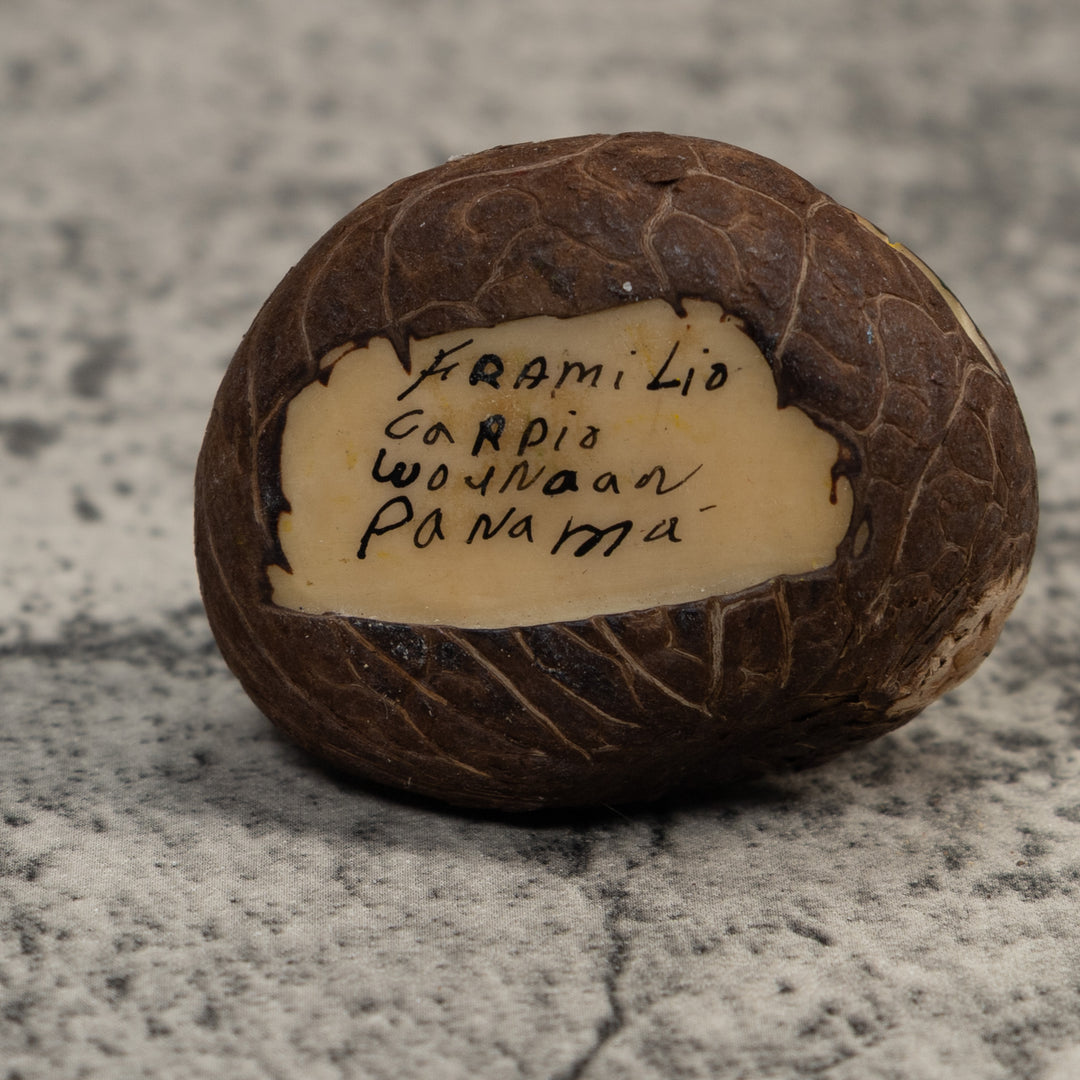 Green White And Black Poison Dart Frog Tagua Carving