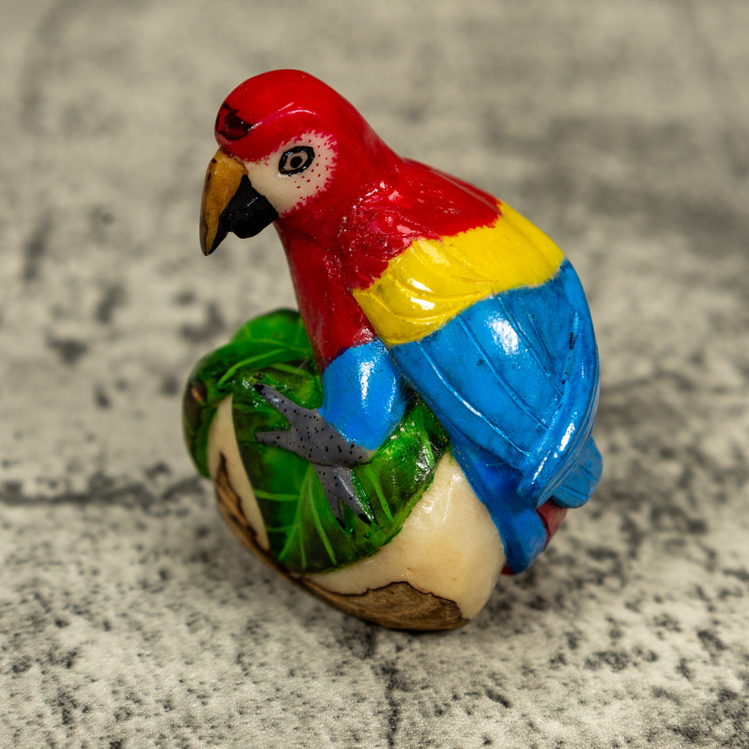 Red Yellow And Blue Macaw Parrot Tagua Carving