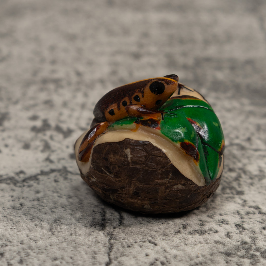 Black And Gold Poison Dart Frog Tagua Carving