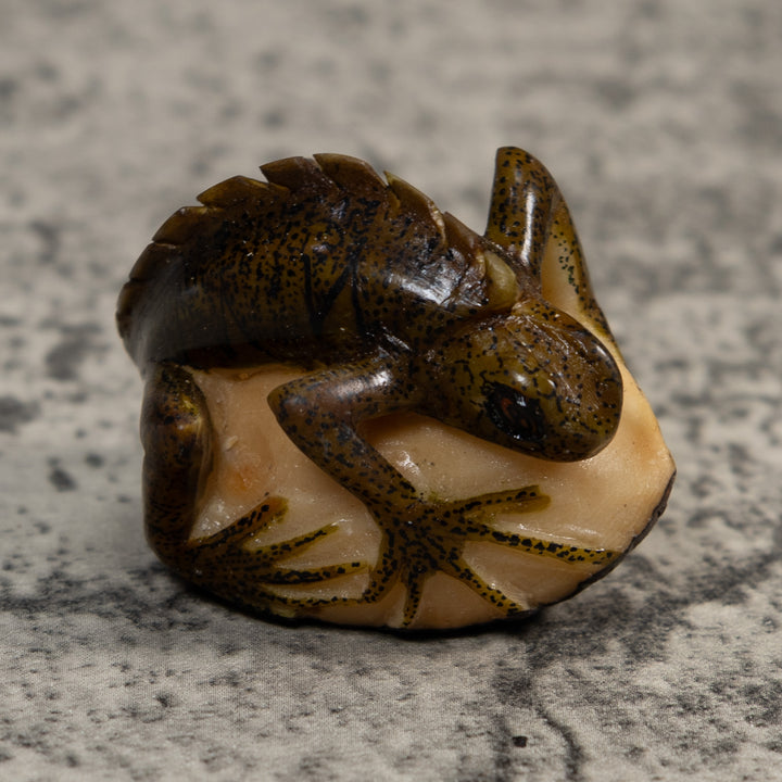 Brown And Black Iguana Lizard Tagua Carving