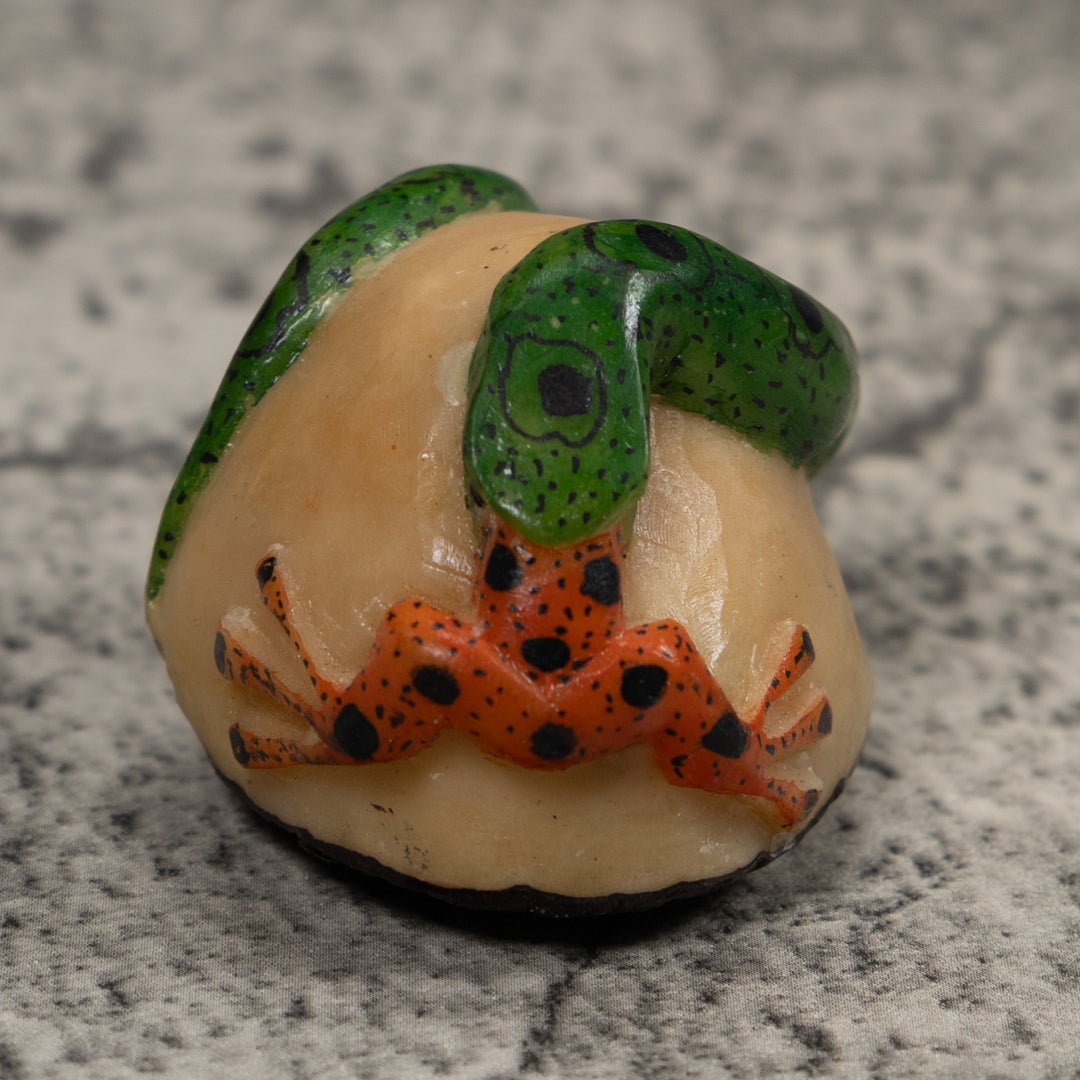 Snake Eating A Frog Tagua Carving