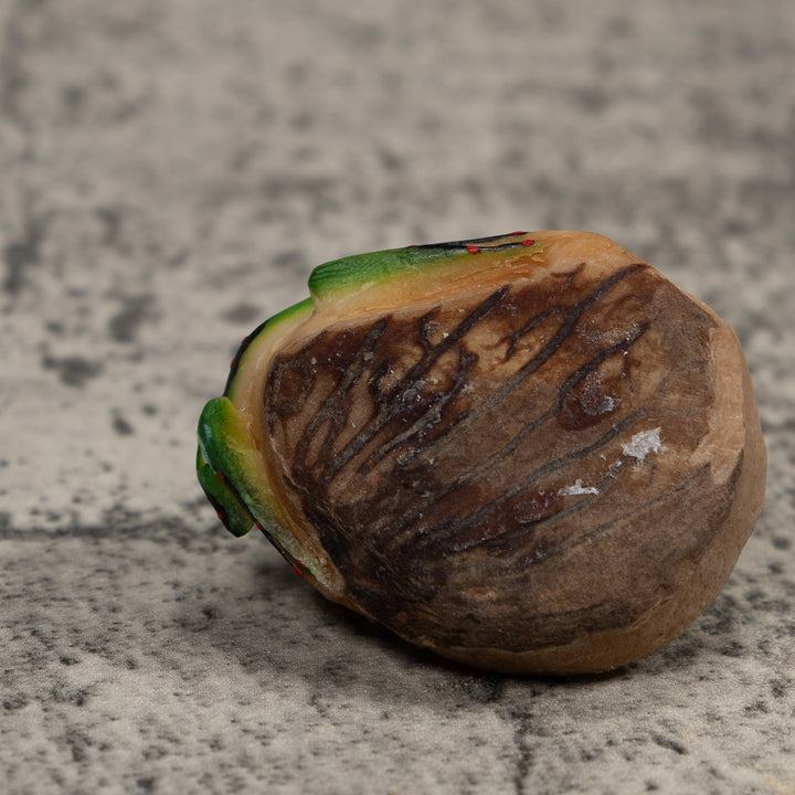 Vintage Green Yellow And Black Frog Tagua Carving