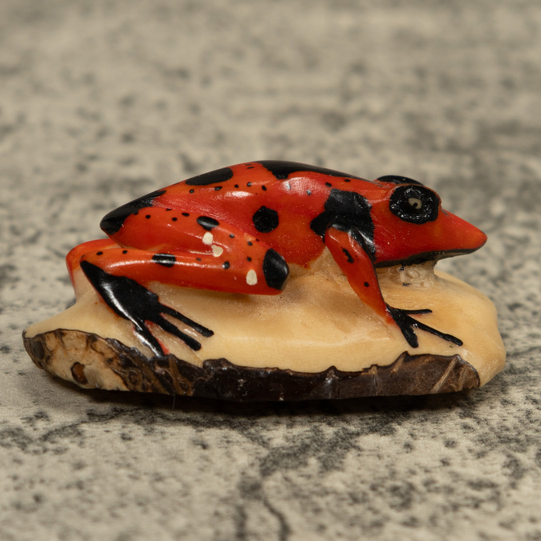 Vintage Poison Dart Frog Tagua Carving