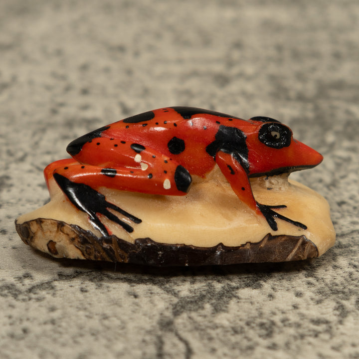 Vintage Poison Dart Frog Tagua Carving
