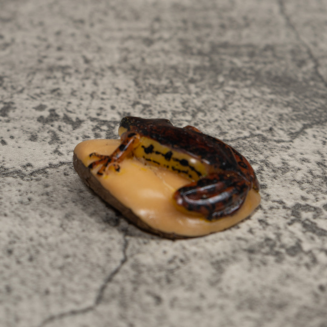 Vintage Brown And Black Frog Tagua Carving