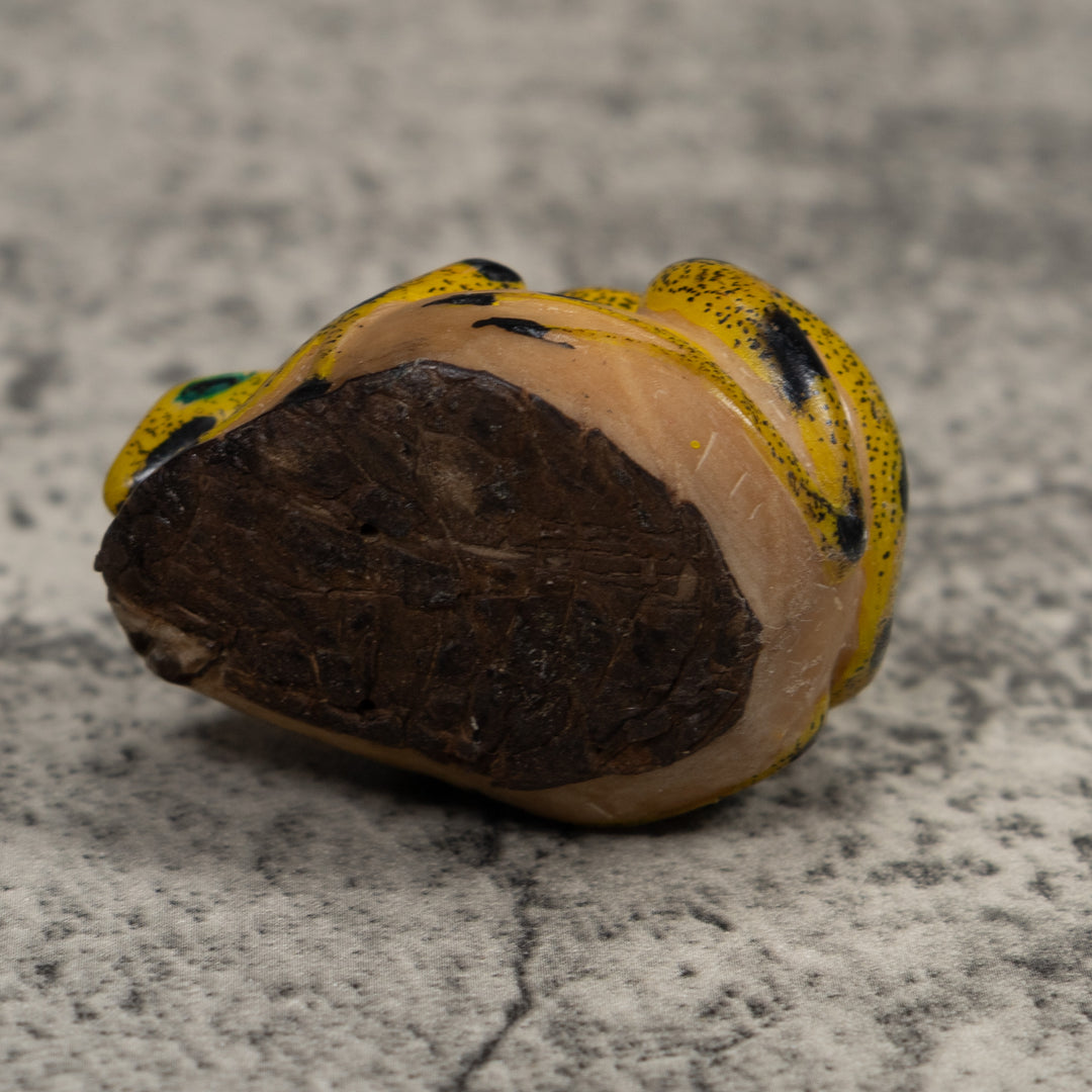 Vintage Black And Gold Frog Tagua Carving