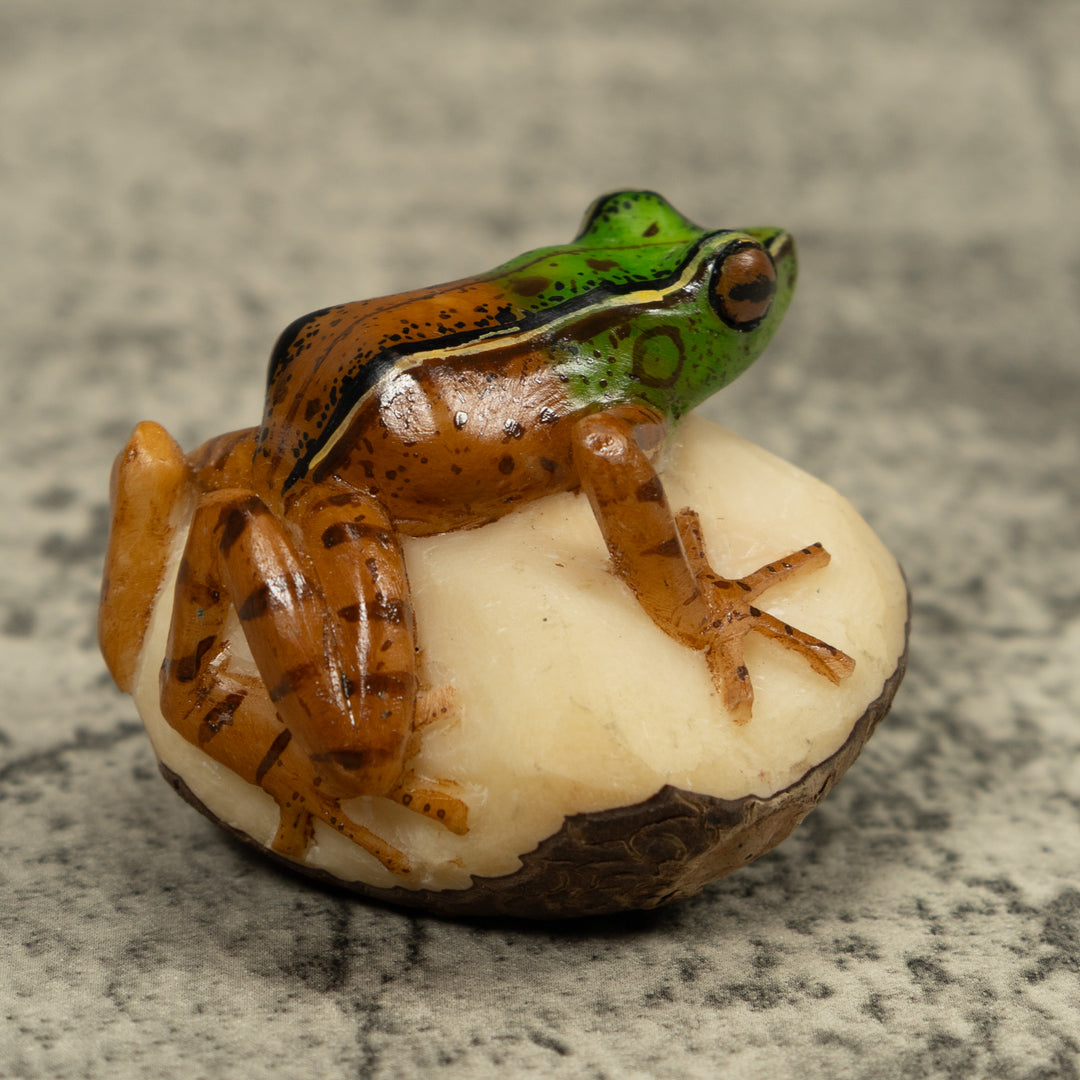 Poison Dart Frog Tagua Carving