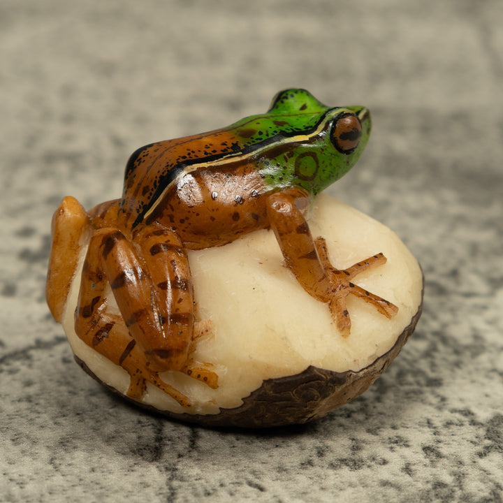 Poison Dart Frog Tagua Carving