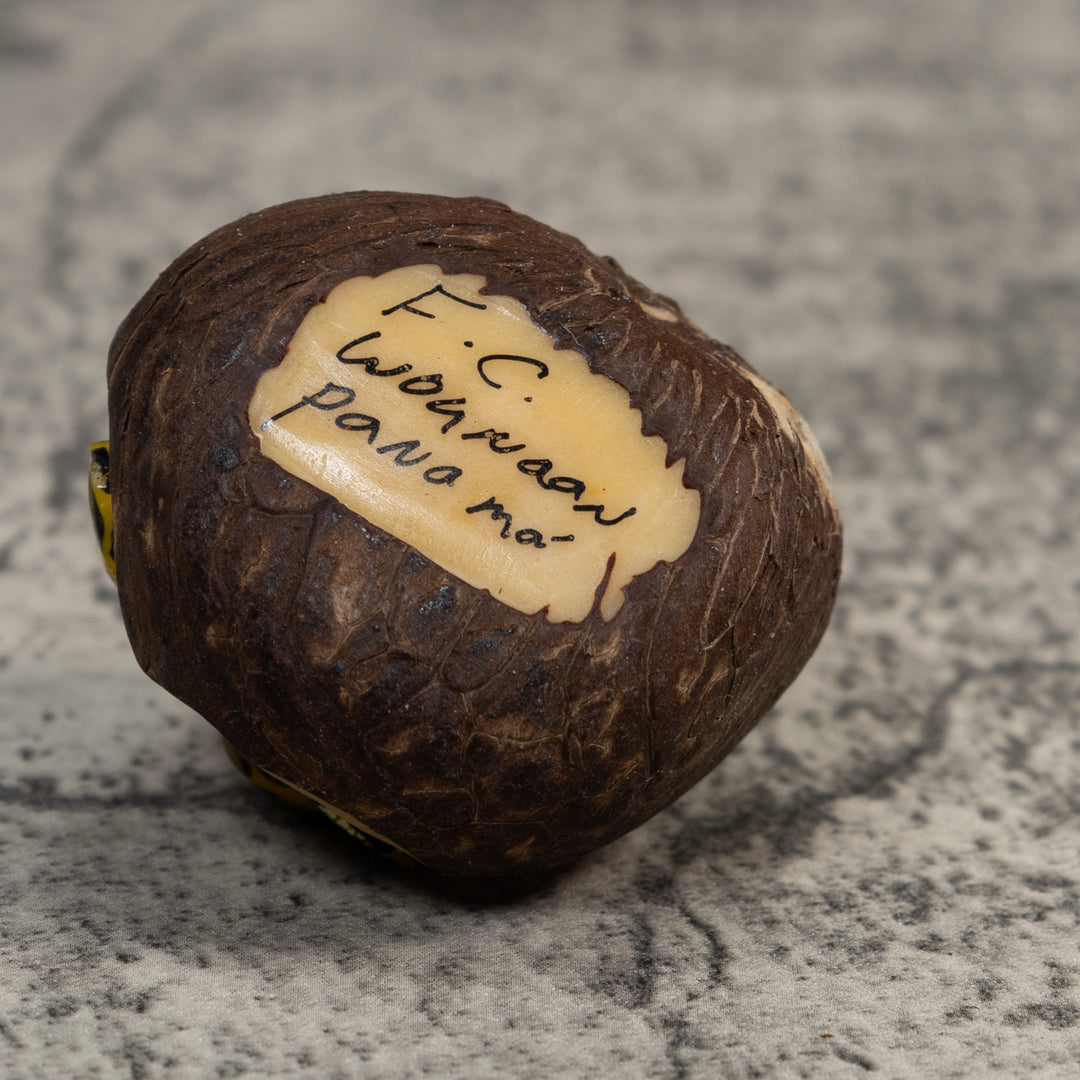 Red Yellow And Black Poison Dart Frog Tagua Carving