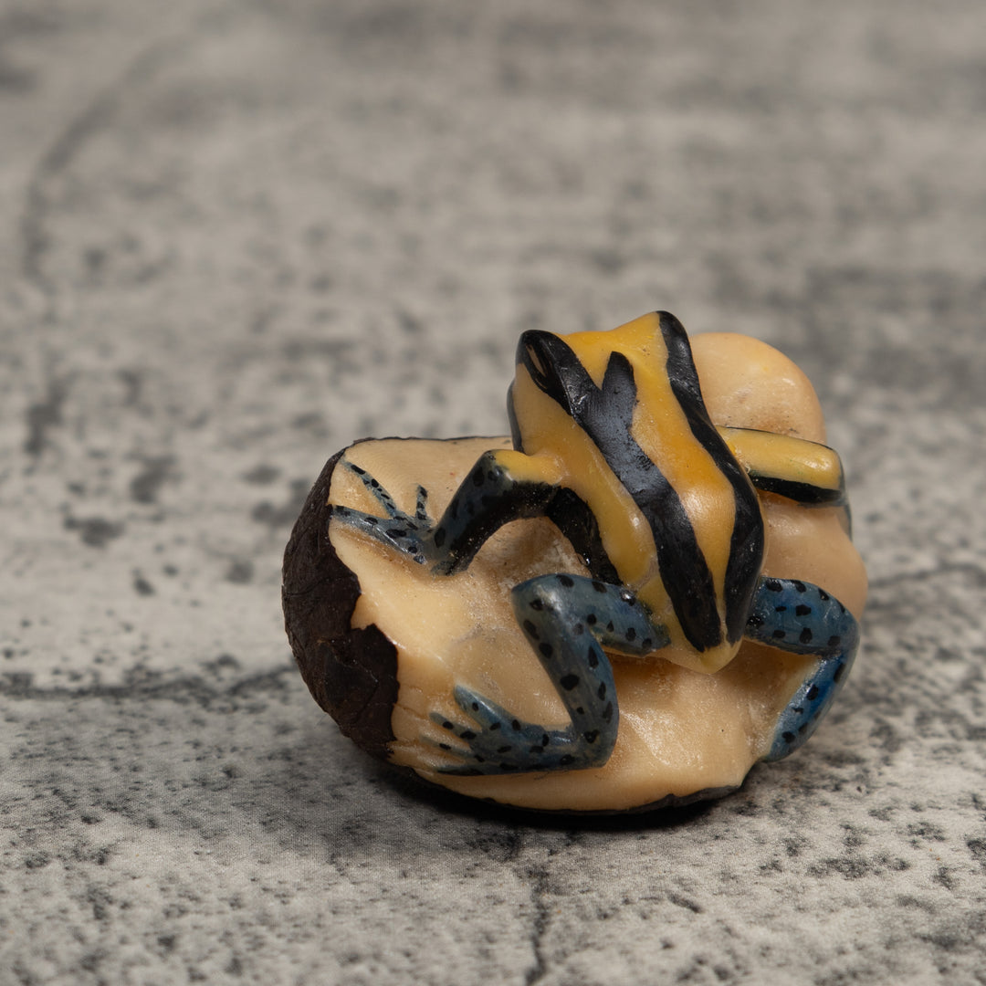 Vintage Yellow And Black Poison Dart Frog Tagua Carving