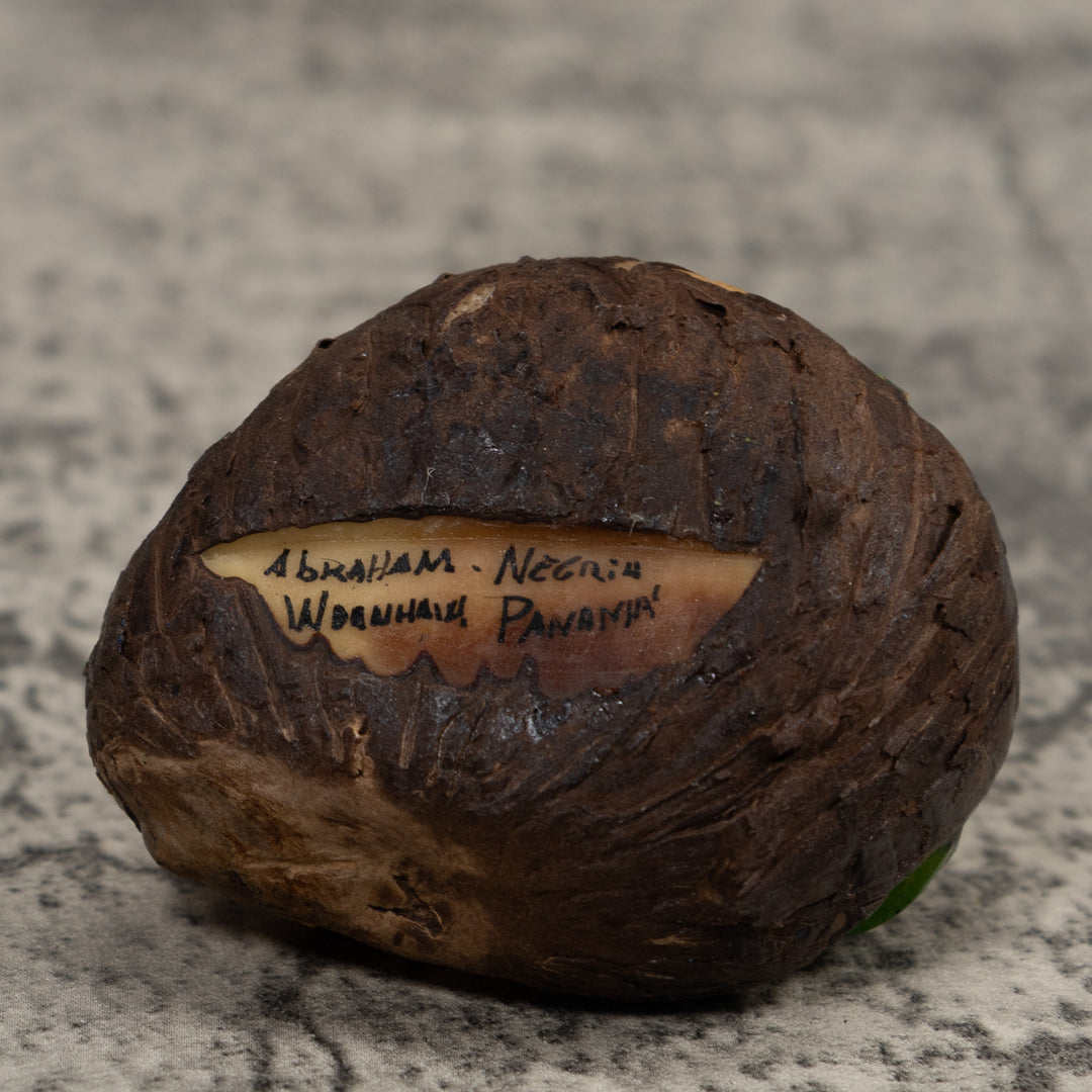 Golden Frog Tagua Carving